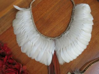 3 Antique Brazil Indigenous Parrot Feather Headdress Necklace Headband 3