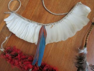 3 Antique Brazil Indigenous Parrot Feather Headdress Necklace Headband 5