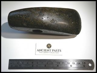 Museum Quality Neolithic Polished Hard - Stone Axe - Hammer – Central European