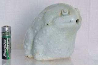 Rare 13th Century Qingbai Water Dropper Southern Song Dynasty Molded As A Toad