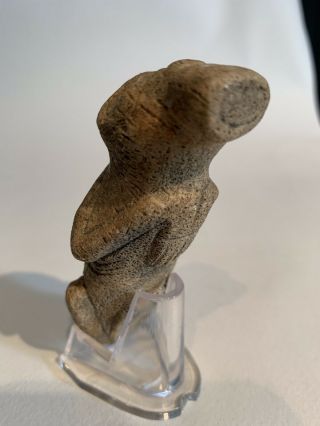 Taino Stone Manatee Figure.  Precolumbian