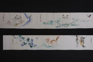 Rare Antique Chinese Hand - Painting Scroll Sun Jusheng Marked - Cat