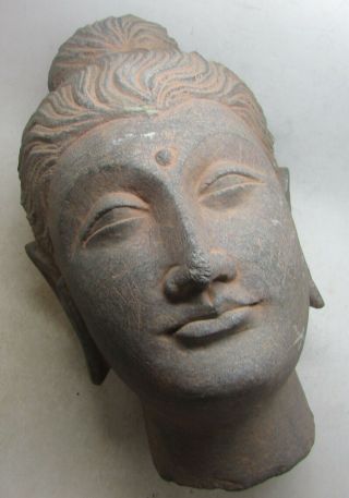 Rare Ancient Gandhara Stone Schist Head Statue Fragment Buddha Head 200bc - 200ad