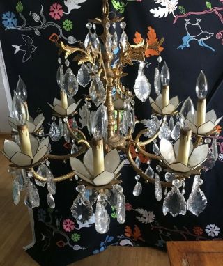 Antique 8 Light Brass And Crystal Chandelier.