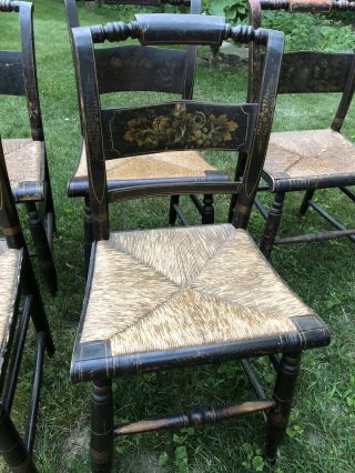 Hitchcock 8 Chairs Antique 3