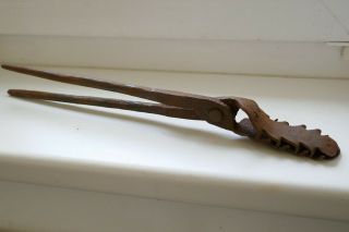 VERY RAR Antique Crocodile Pliers,  Witch,  Torture,  Germany/Austria 18 Cen. 2