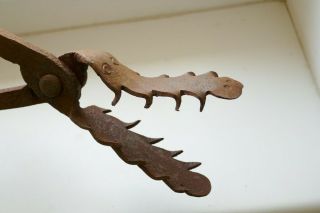 VERY RAR Antique Crocodile Pliers,  Witch,  Torture,  Germany/Austria 18 Cen. 4