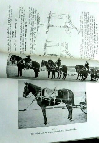 Ww1 German Army Artillery Horse Trains War Horses Hippomobile Saddles Harness