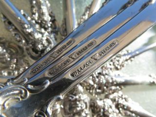 LARGE WALLACE GRAND BAROQUE STERLING SILVER FLATWARE OLD SET SERVERS HEAVY GREAT 10