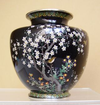 Japanese Fine Cloisonne Enamel Vase W Birds & Cherry Blossom Namikawa Yasuyuki ?