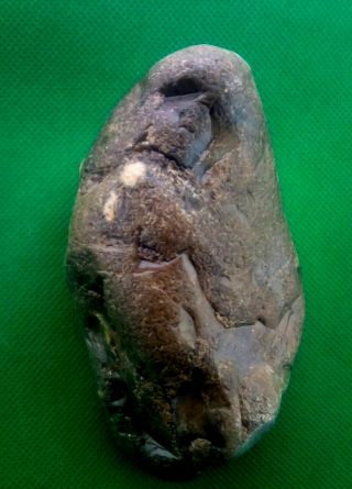 " Venus " From The Golan Heights.  Paleolithic Period Rare,  426gr 