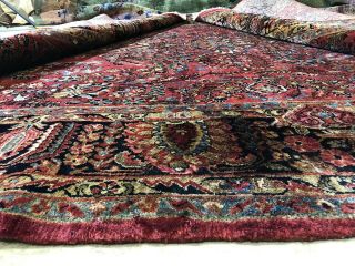 Auth: 30 ' s Antique Sarouk Exceptional Botanical Persian Beauty Red 9x12 NR 11