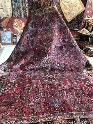 Auth: 30 ' s Antique Sarouk Exceptional Botanical Persian Beauty Red 9x12 NR 3