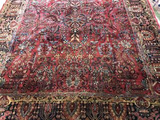 Auth: 30 ' s Antique Sarouk Exceptional Botanical Persian Beauty Red 9x12 NR 5