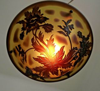French Art Nouveau Signed De Vianne Acid Etched Floral Glass Ceiling Light 1313 4