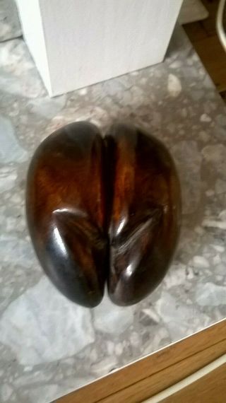 ⭐️ ⭐️ Polished Coco De Mer Seychelles Nut ⭐️⭐️
