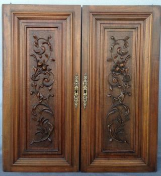 Big Antique French Furniture Doors Early 1900 