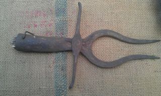 Antique Wrought Iron Beet Tool Digging Beetroot