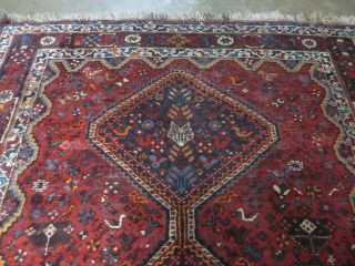 6 ' X 9 ' Antique Hand Made Persian Shiraz Wool Veg Dyes Rug Birds M700 3