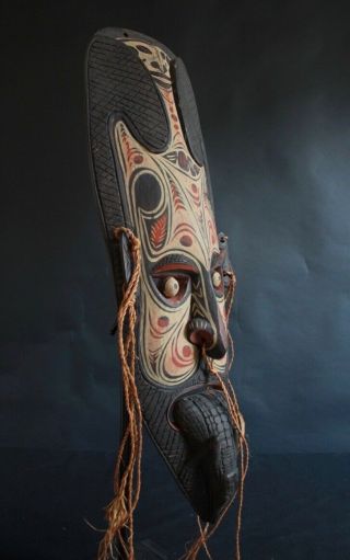 Spirit mask with crocodile - Iatmul - Middle Sepik - Papua 5