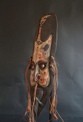 Spirit mask with crocodile - Iatmul - Middle Sepik - Papua 6