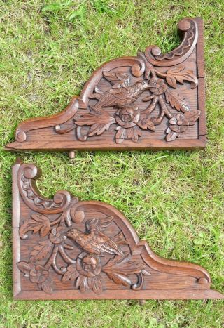 Antique Hand Carved French Reclaimed Corbels Architectural Salvage Bird