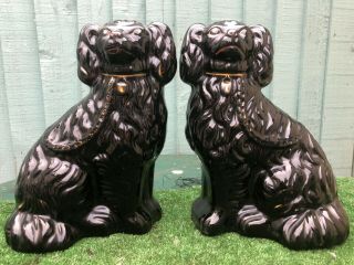Pair: 19thc Large Staffordshire Jackfield Black Spaniel Dogs C1890s