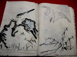 1 - 10 Japanese Dutch DEJIMA kimono Hand - writing manuscript pictures Book 11