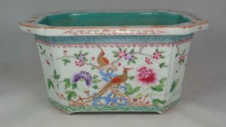 Antique Chinese 19th C Famille Rose Porcelain Planter Golden Pheasants Qing Bird