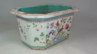 Antique Chinese 19th c Famille Rose Porcelain Planter Golden Pheasants Qing Bird 3