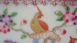 Antique Chinese 19th c Famille Rose Porcelain Planter Golden Pheasants Qing Bird 5