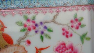 Antique Chinese 19th c Famille Rose Porcelain Planter Golden Pheasants Qing Bird 7