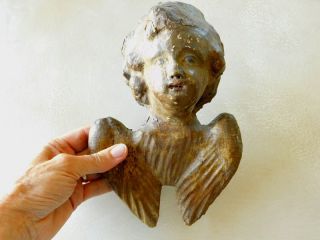 French 17th Century Winged Angel Putti Hand Carved Gilt Wood C1680 5