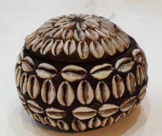 African Cowrie Shell Gourd Ritual Box Kenya 3.  5 "