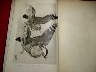 10 - 155 RARE Japanese Bird tanigami konan Woodblock print BOOK 11