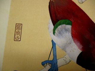 10 - 155 RARE Japanese Bird tanigami konan Woodblock print BOOK 5