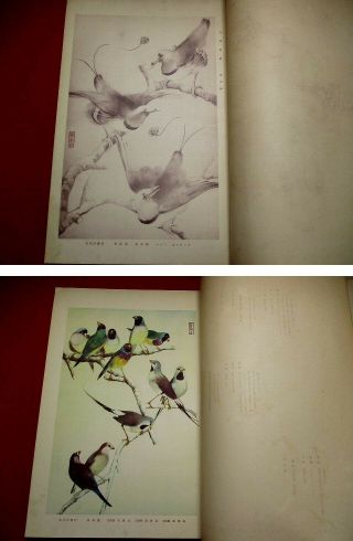 10 - 155 RARE Japanese Bird tanigami konan Woodblock print BOOK 6