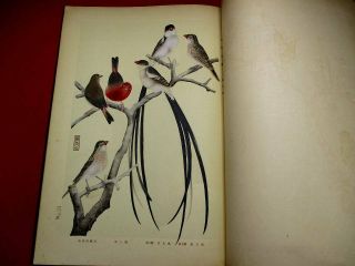 10 - 155 RARE Japanese Bird tanigami konan Woodblock print BOOK 7