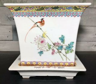 Chinese Export Porcelain Planter & Tray Hand Painted 4