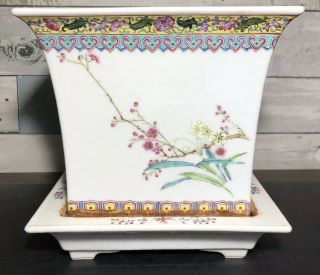 Chinese Export Porcelain Planter & Tray Hand Painted 6