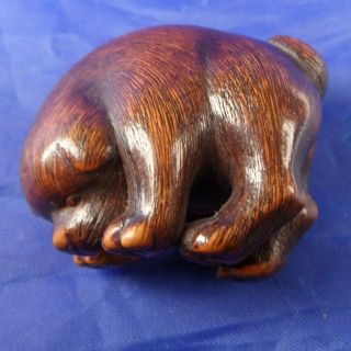 Antique Japanese Carved Wooden Dog Netsuke