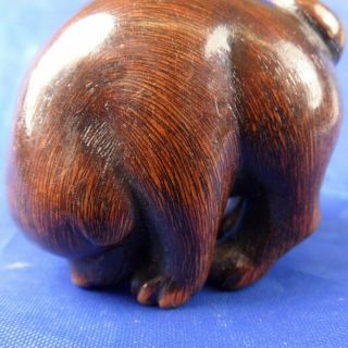 ANTIQUE JAPANESE CARVED WOODEN DOG NETSUKE 6