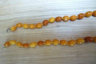 ANTIQUE BALTIC BUTTERSCOTCH EGG YOLK AMBER BEADS NECKLACE 38 GRAMS CHINESE 11