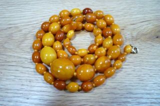 ANTIQUE BALTIC BUTTERSCOTCH EGG YOLK AMBER BEADS NECKLACE 38 GRAMS CHINESE 3