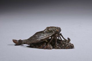 Antique Chinese Bronze Scroll Weight – Cicada,  Qing Dynasty.