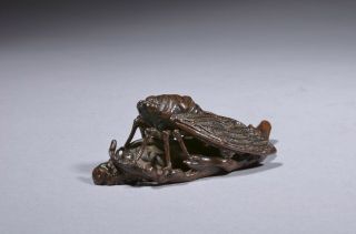 Antique Chinese bronze scroll weight – cicada,  Qing dynasty. 2
