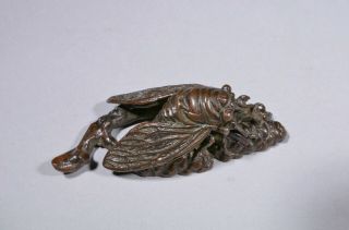 Antique Chinese bronze scroll weight – cicada,  Qing dynasty. 3
