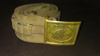 Vintage 1881 Anson Mills Web Belt & Dog Head Buckle Cartridge Belt Great Shape