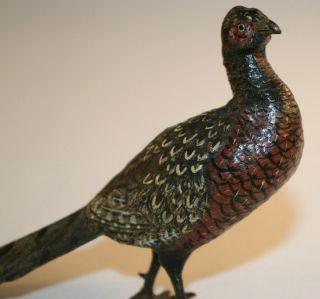 Franz Bergmann Vienna Bronze Cold Painted Pheasant Geschutzt 3