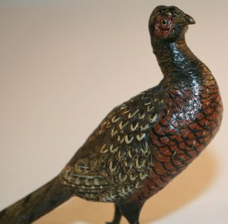 Franz Bergmann Vienna Bronze Cold Painted Pheasant Geschutzt 6